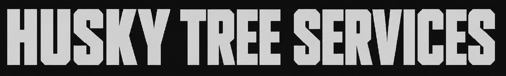 logo 1 (2)
